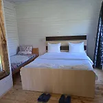 2 *